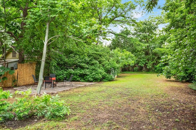 view of yard featuring a patio area