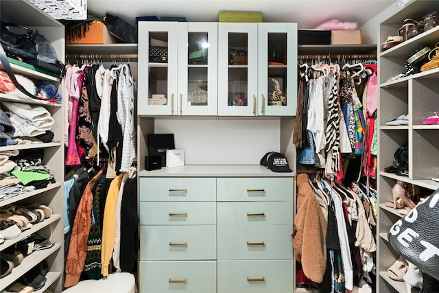 view of walk in closet