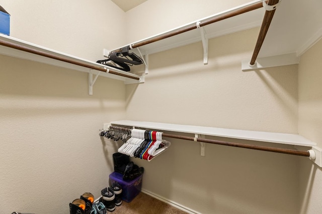 spacious closet featuring carpet flooring