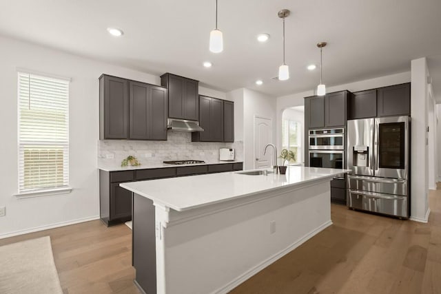 1625 Stinnett Dr, Leander, TX 78641 - kitchen featuring appliances with stainless steel finishes, a sink, arched walkways, decorative backsplash, and light wood-type flooring