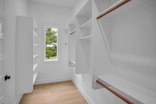 309 Alabaster, Horseshoe Bay, TX 78657 - walk in closet with light wood-style flooring