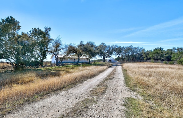 view of road with driveway