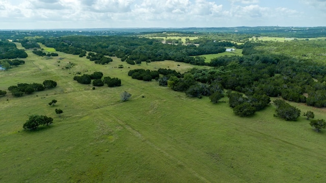 drone / aerial view featuring a rural view