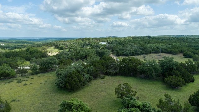 aerial view featuring a forest view