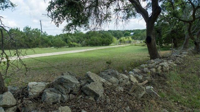 view of yard featuring a view of trees
