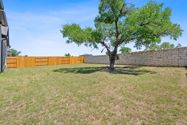 1504 Caylea Bluff Ln, Georgetown, TX 78628 - view of fenced backyard