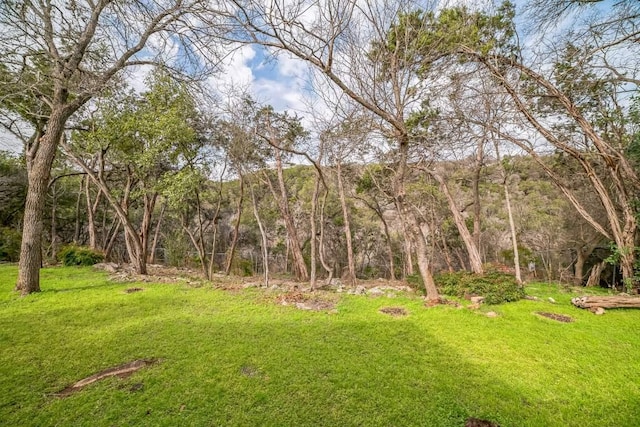 2624 Barton Hills Dr, Austin, TX 78704