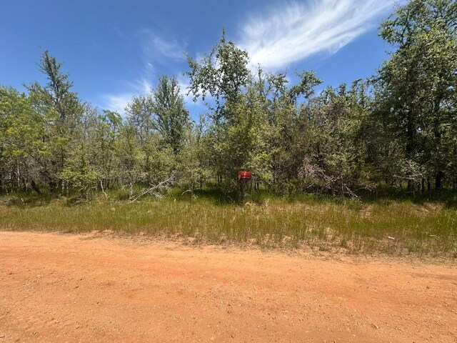 216 Mokulua Ln, Bastrop, TX 78602