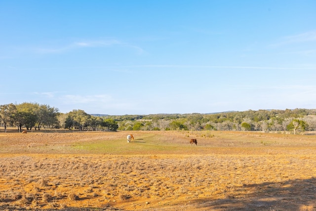 2454 Mckinney Loop, Blanco, TX 78606 - photo 29
