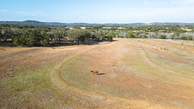 2454 Mckinney Loop, Blanco, TX 78606 - photo 3