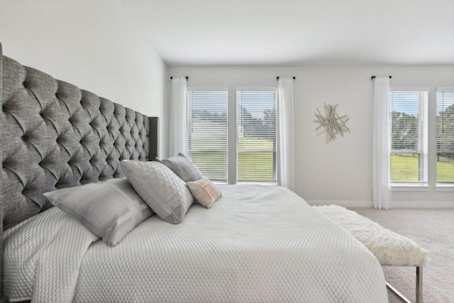 4617 Port Genova Ct, Leander, TX 78641 - view of carpeted bedroom