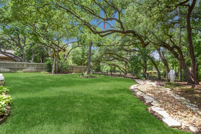 1312 Becca Teal Pl, Round Rock, TX 78681 - view of yard