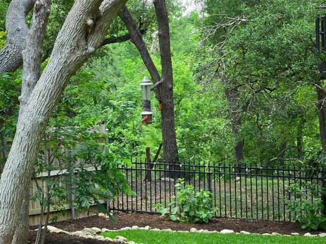 1312 Becca Teal Pl, Round Rock, TX 78681 - view of yard