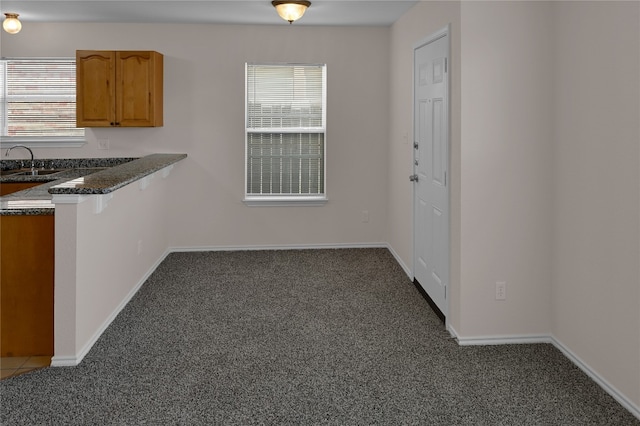 kitchen with brown cabinets, a wealth of natural light, and carpet