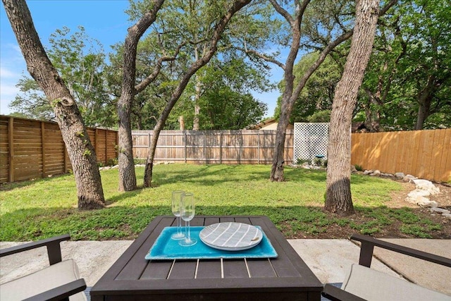 view of yard featuring a fenced backyard and a patio area