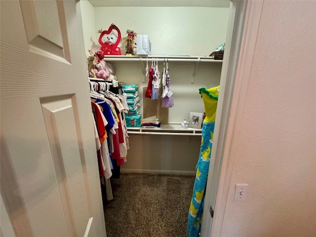 10608 Plains Trl Unit B, Austin, TX 78758 - spacious closet featuring carpet flooring