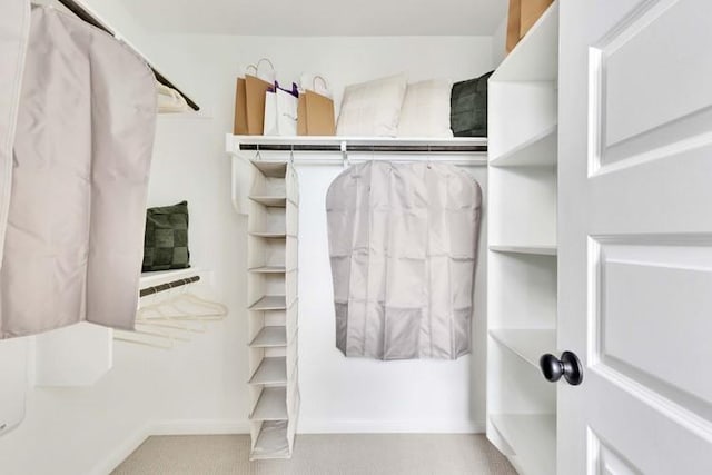 walk in closet with carpet flooring