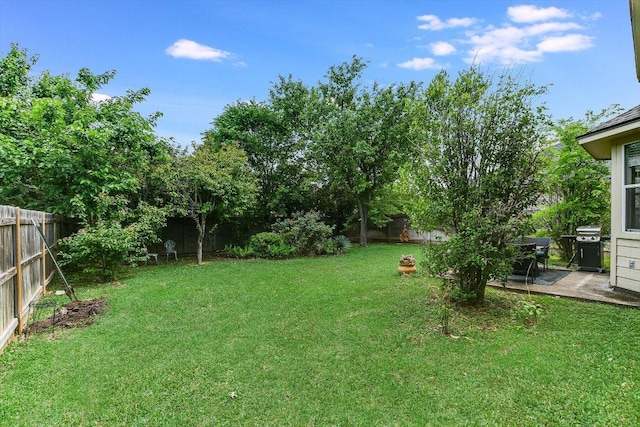 view of yard with a fenced backyard and a patio