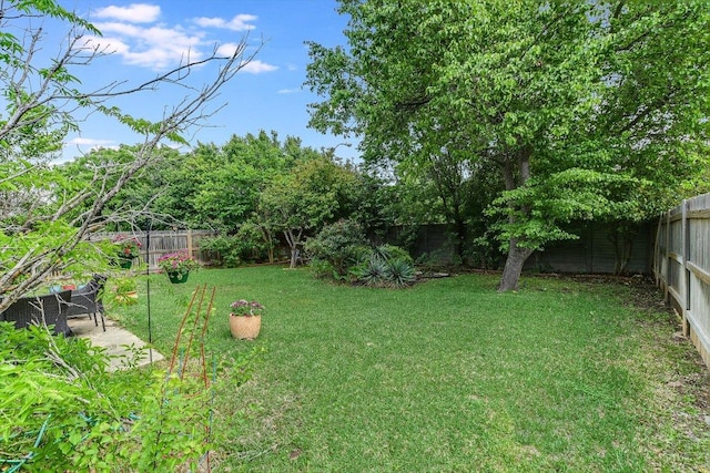 view of yard with a fenced backyard