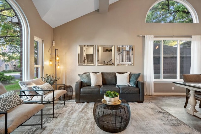 living room with baseboards, wood finished floors, a wealth of natural light, and high vaulted ceiling