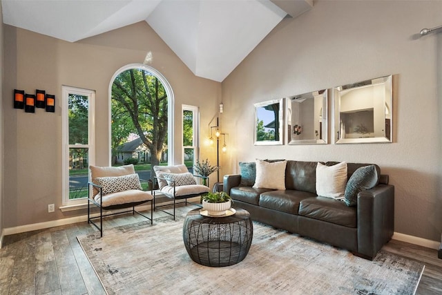 living area featuring baseboards, high vaulted ceiling, and wood finished floors