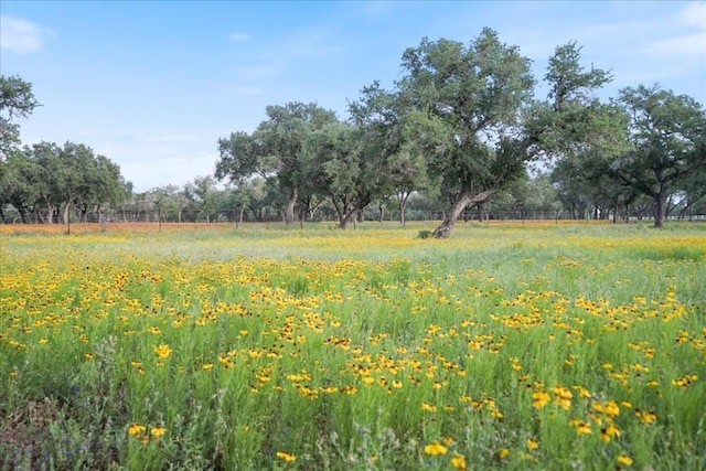 24900 Pedernales Canyon Trl, Spicewood, TX 78669 - photo 1