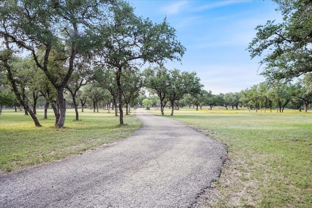 24900 Pedernales Canyon Trl, Spicewood, TX 78669 - photo 2