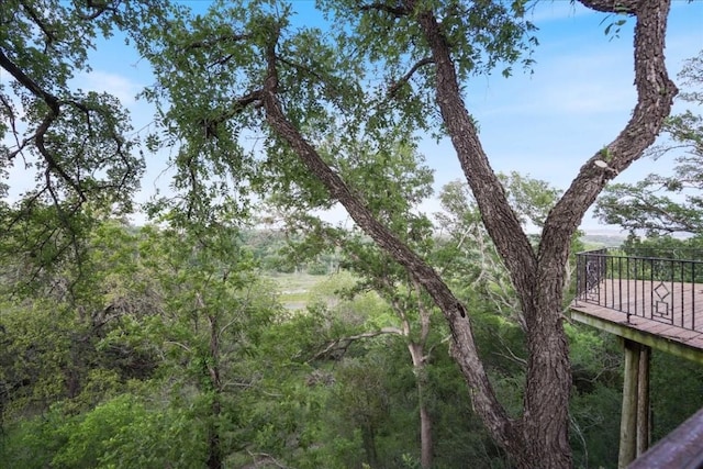 24900 Pedernales Canyon Trl, Spicewood, TX 78669 - photo 3