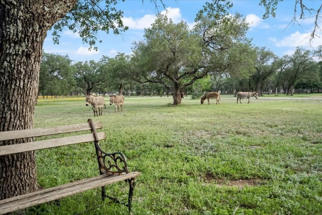 24900 Pedernales Canyon Trl, Spicewood, TX 78669 - photo 18