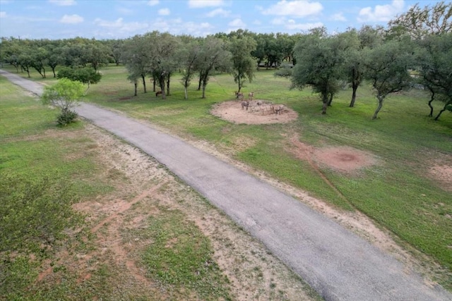 24900 Pedernales Canyon Trl, Spicewood, TX 78669 - photo 27