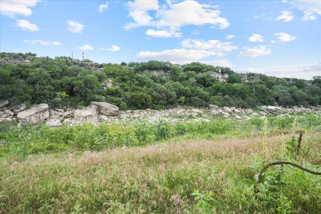 24900 Pedernales Canyon Trl, Spicewood, TX 78669 - photo 31