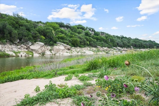 24900 Pedernales Canyon Trl, Spicewood, TX 78669 - photo 32