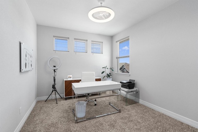 225 Palio Pl, Georgetown, TX 78628 - home office with carpet and baseboards
