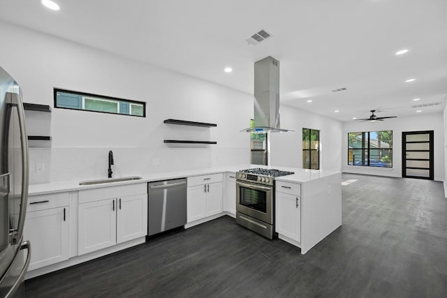 kitchen featuring dark wood-style flooring, a sink, stainless steel appliances, a peninsula, and island exhaust hood