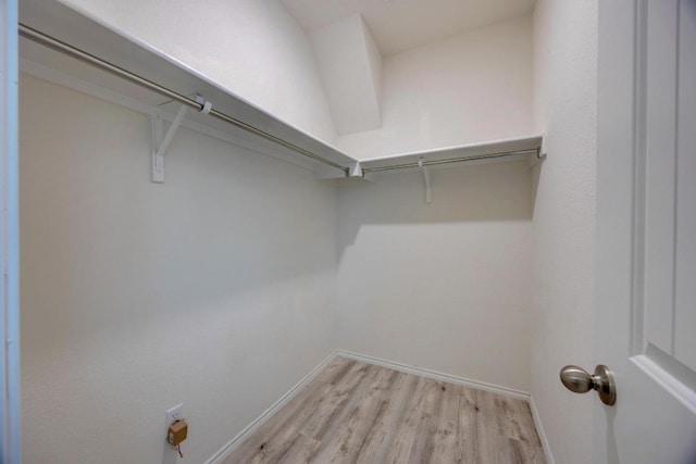 2950 E Old Settlers Blvd Unit 51, Round Rock, TX 78665 - walk in closet with light wood-style flooring