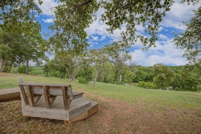 114 Lemuel Crawford Trl, Bastrop, TX 78602 - photo 20