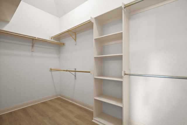 walk in closet featuring wood finished floors