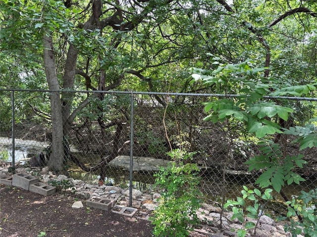 view of local wilderness