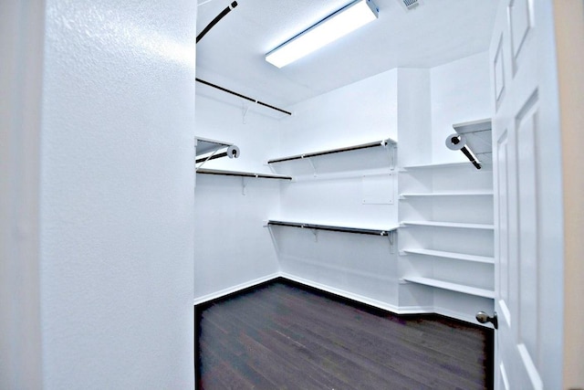 spacious closet featuring dark wood-style floors