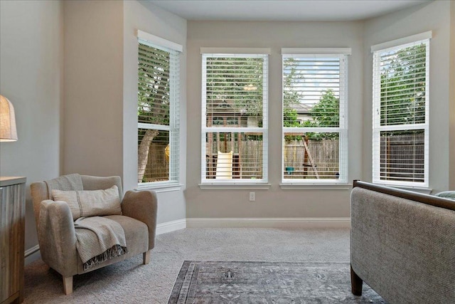 living area featuring baseboards and carpet