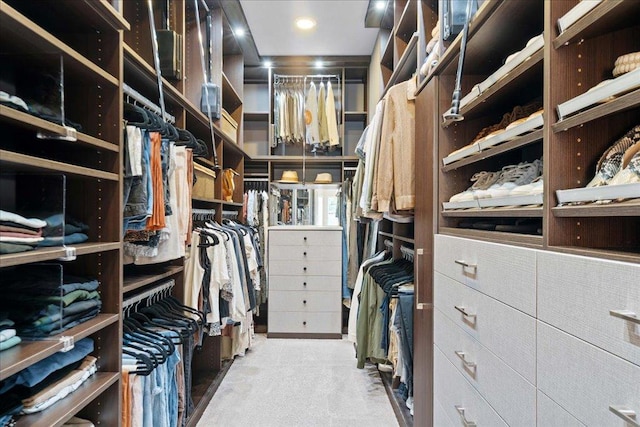 spacious closet with carpet