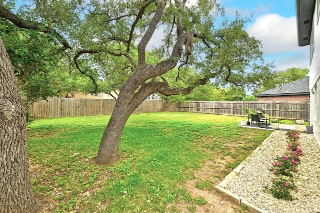 view of yard featuring a fenced backyard and a patio