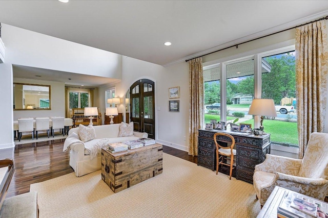 living room with french doors, recessed lighting, wood finished floors, and a healthy amount of sunlight