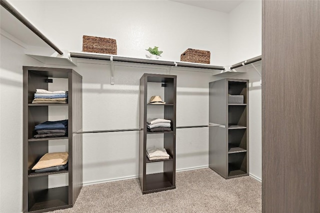spacious closet featuring carpet floors