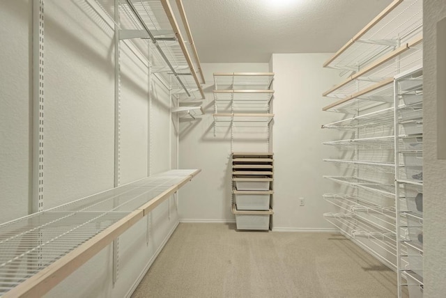 walk in closet with light colored carpet