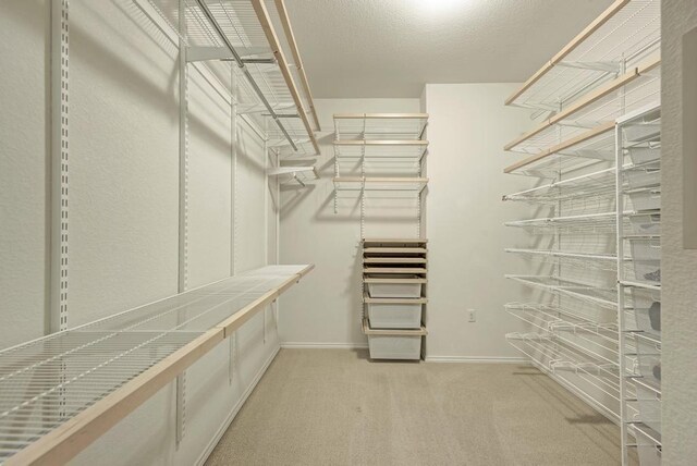 2119 Howell Mountain Dr, Cedar Park, TX 78613 - walk in closet featuring light carpet