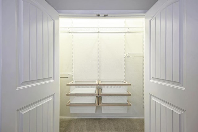 walk in closet with carpet