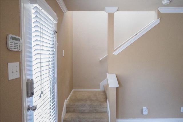 636 Gabriel Mills Dr, Round Rock, TX 78664 - staircase with crown molding, baseboards, and carpet flooring