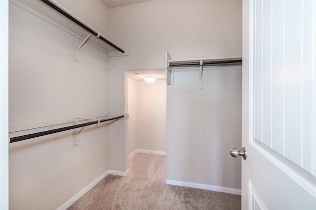 2880UNIT3401 Donnell Dr Unit 3401, Round Rock, TX 78664 - spacious closet with light carpet