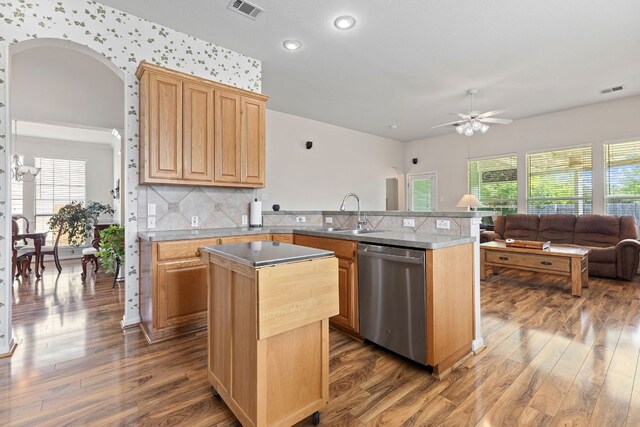 117 Summers Grn, Georgetown, TX 78633 - kitchen featuring stainless steel dishwasher, a sink, healthy amount of natural light, open floor plan, and recessed lighting
